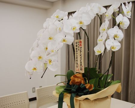 070701_komagome_2.jpg