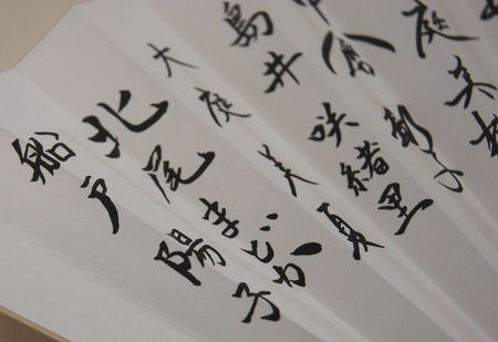 080828_zs_2.JPG