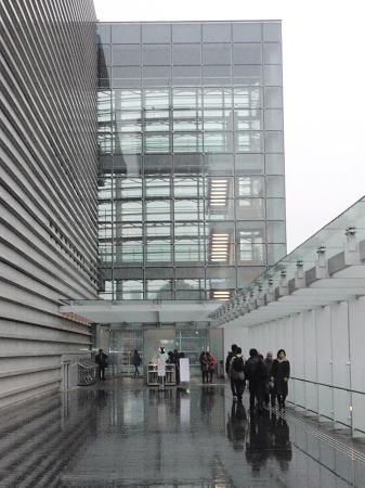 100215_shimai2.jpg