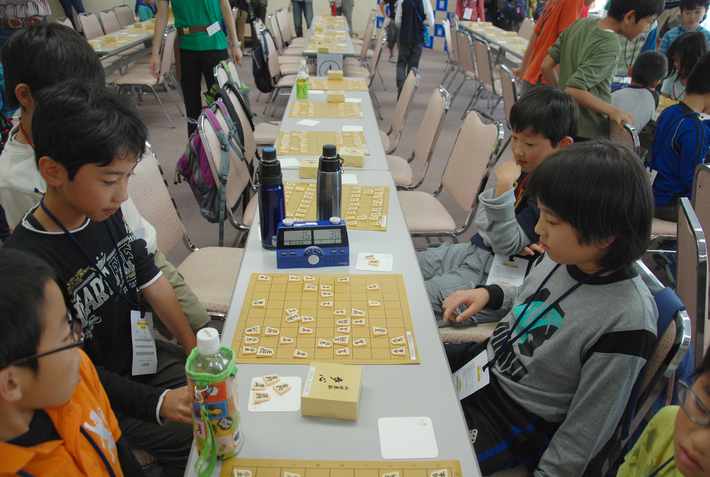 日本女子プロ将棋協会